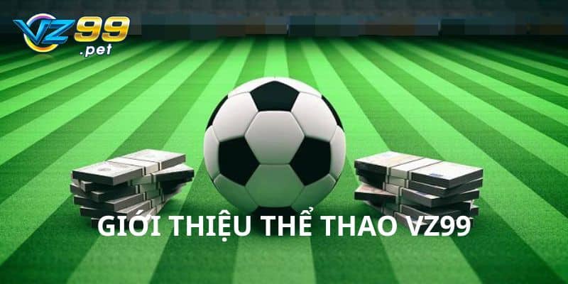 Giới thiệu về sảnh thể thao VZ99